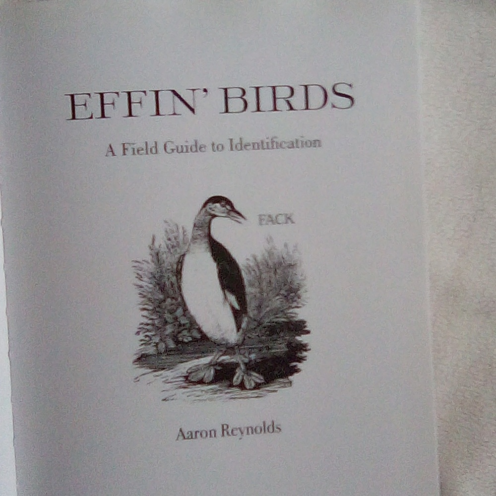 Effin' Birds: A Field Guide to Identification - Aaron Reynolds - Picture 7 of 9